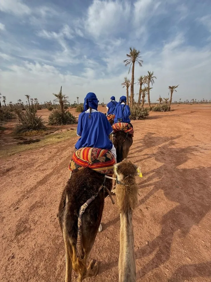 Camel Ride Marrakech