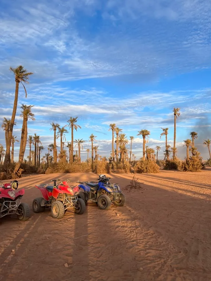 Quad Biking in the Palms